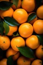 Pile of Oranges With Green Leaves Royalty Free Stock Photo