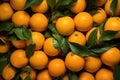 Pile of Oranges With Green Leaves Royalty Free Stock Photo