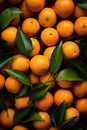 Pile of Oranges With Green Leaves Royalty Free Stock Photo