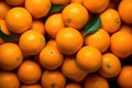 A Pile of Oranges With Leaves Royalty Free Stock Photo