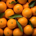 Pile of Oranges With Leaves Royalty Free Stock Photo