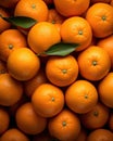 Pile of Oranges With Leaves Royalty Free Stock Photo