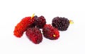 Pile of organic Mulberry fruits