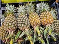 Pile of organic pineapple fruit display for sale at the supermarket Royalty Free Stock Photo