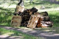 Pile of Organic Waste: Cut Tree Pieces and Euro Pallets Laying on a Meadow