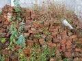 A pile of overgrown red bricks. Forget building material. A pile of stones Royalty Free Stock Photo