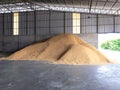 Pile paddy in the rice mill. To wait to be polished to rice. Rice mill system. Rice Storage
