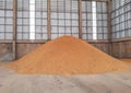A pile of paddy rice seeds, rice stock seeds at the mill, to oven heat, containment rice seed in the big sack
