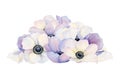 Pile of pastel purple violet and white anemone flowers and petals watercolor illustration. Wedding 2024 celebration