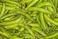 Pile of pea pods background. Macro Royalty Free Stock Photo