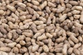 Pile of peanut in shell texture at market for food and agriculture concept design Royalty Free Stock Photo