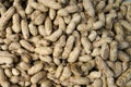 Pile of peanut in shell texture at market Royalty Free Stock Photo