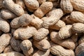 a pile of peanut shells background