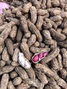 Pile of peanuts in shells with two opened showing red and streaked seeds. Royalty Free Stock Photo