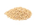 Pile pearl barley Royalty Free Stock Photo