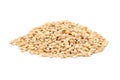 Pile pearl barley Royalty Free Stock Photo