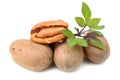 Pile of pecan nuts isolated.