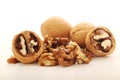 A pile of peeled walnuts at white background Royalty Free Stock Photo