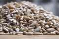 A pile of peeled sunflower seeds on a wooden surface, close-up shot. Sunflower seeds without shell Royalty Free Stock Photo