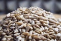 A pile of peeled sunflower seeds on a wooden surface, close-up. Sunflower seeds without shell Royalty Free Stock Photo