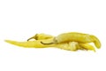 Pile of pickled yellow peppers isolated on white Royalty Free Stock Photo