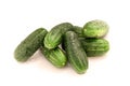 Green pickling cucumbers Royalty Free Stock Photo