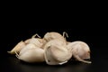 Pile piece of fresh garlic group ingredient isolated on black background