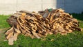pile of pine cuttings for fuel Royalty Free Stock Photo
