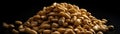 Pile Of Pine Nuts On A Black Background. Generative AI Royalty Free Stock Photo