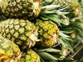 Pile pineapple fruit which has been harvested and display for sale on farmers table in market