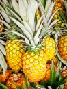 Pile pineapple fruit which has been harvested and display for sale on farmers table in market