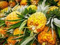 Pile pineapple fruit which has been harvested and display for sale on farmers table in market