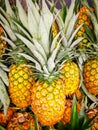 Pile pineapple fruit which has been harvested and display for sale on farmers table in market