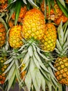 Pile pineapple fruit which has been harvested and display for sale on farmers table in market