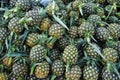 Pile of pineapples at street market Royalty Free Stock Photo