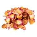 Pile of pink rose petals as a romantic composition over white background Royalty Free Stock Photo