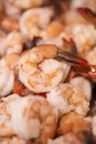 Pile of plumb, fresh cooked shrimp Royalty Free Stock Photo