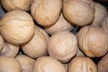 A pile of plump walnuts stacked tightly, with clear and natural texture on the outer shell Royalty Free Stock Photo