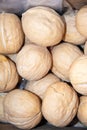 A pile of plump walnuts stacked tightly, with clear and natural texture on the outer shell Royalty Free Stock Photo