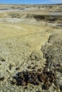 A pile of poop on a prairie in New Mexico