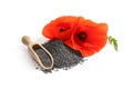 Pile of poppy seeds, scoop and flowers isolated Royalty Free Stock Photo