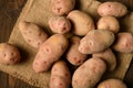 A pile of potatoes on burlap on a dark wood background