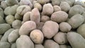 Pile of potatoes on supermarket shelves for sale. Vegetables background. Fresh food. Healthy eating and lifestyle. Local farmers m Royalty Free Stock Photo