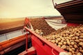 Pile of potatoes on trailer with vintage tractor