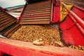 Pile of potatoes on trailer with vintage tractor