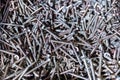 Pile of pozidriv head type screws, with a blurred background Royalty Free Stock Photo