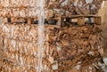 Pile of pressed corrugated cardboards ready for recycling Royalty Free Stock Photo