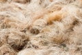 Pile of processed copra fibre