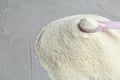 Pile of protein powder, scoop and space for text Royalty Free Stock Photo