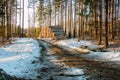 Pile of pulpwood by a forest road in spring